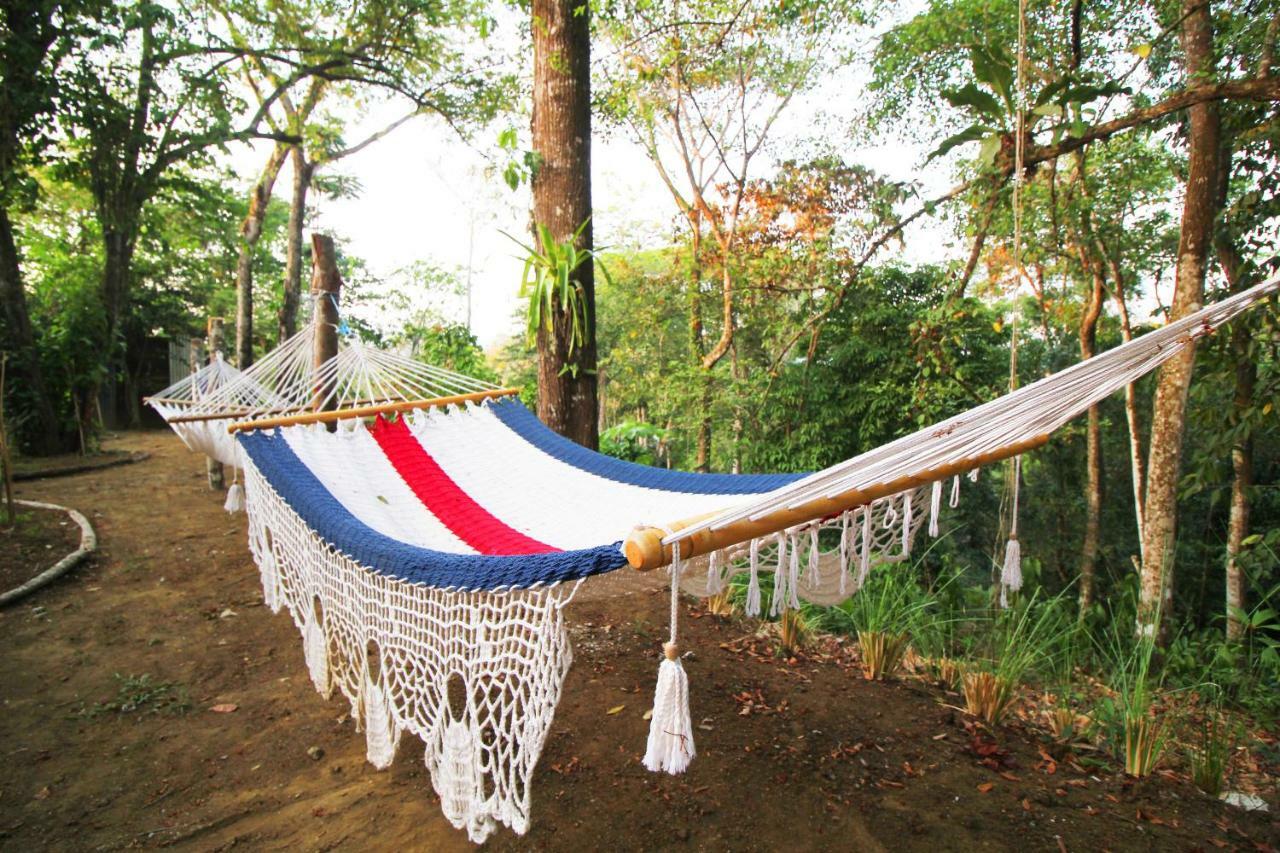 Teva Hotel & Jungle Reserve Мануэль-Антонио Экстерьер фото