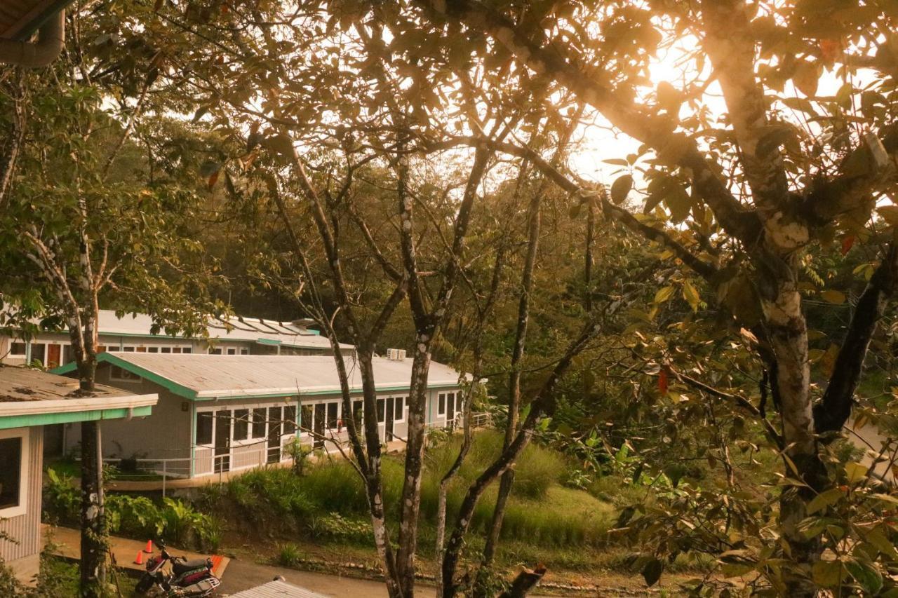 Teva Hotel & Jungle Reserve Мануэль-Антонио Экстерьер фото